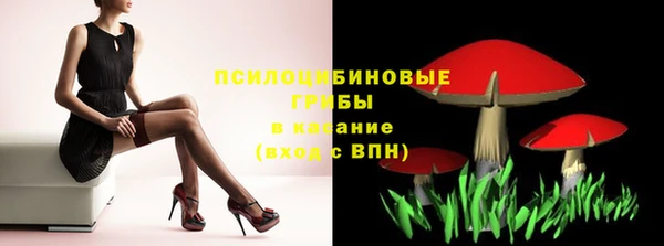 сатива Алексеевка