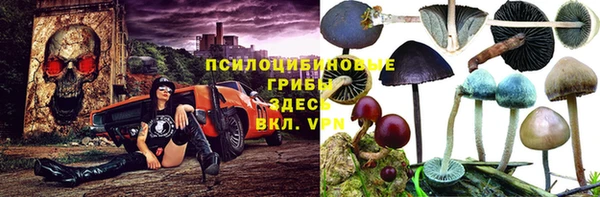 сатива Алексеевка